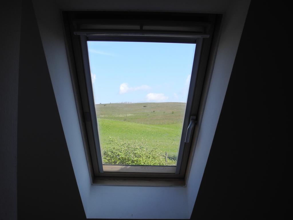 Apartment Alte Fischerkate Und Moewennest *