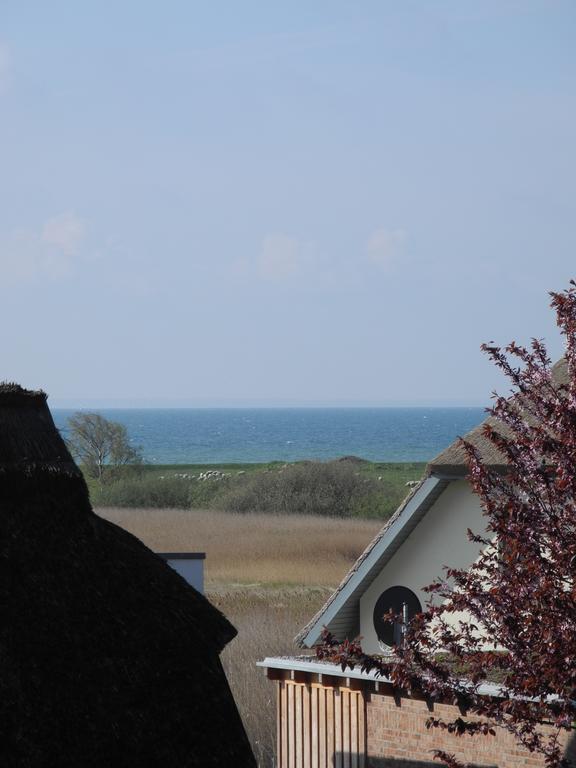 Apartment Alte Fischerkate Und Moewennest