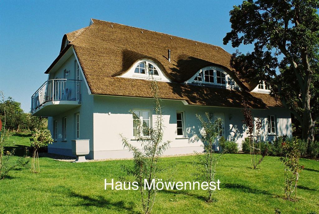 Alte Fischerkate Und Moewennest Gross Zicker